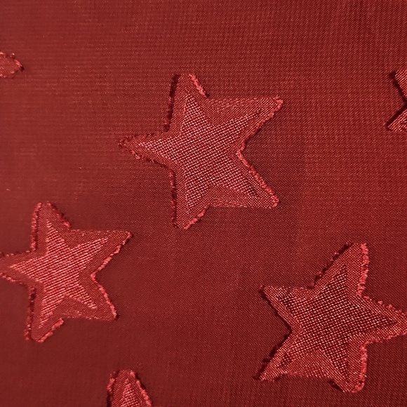 Torrid Star Embroirdered  Burgundy Camisole - Picture 3 of 3